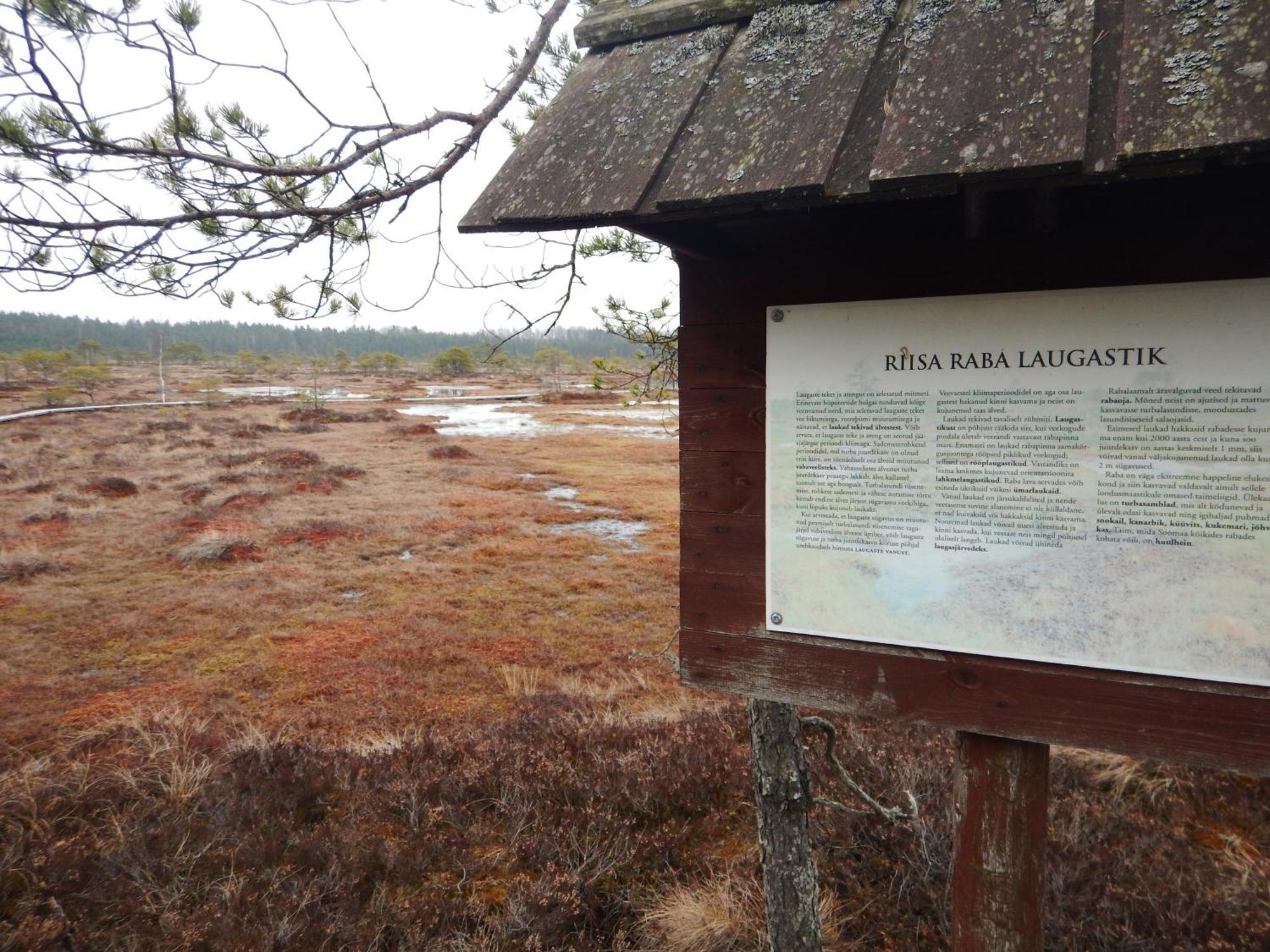 Pauna Puhkemaja Puhkemaja Tori