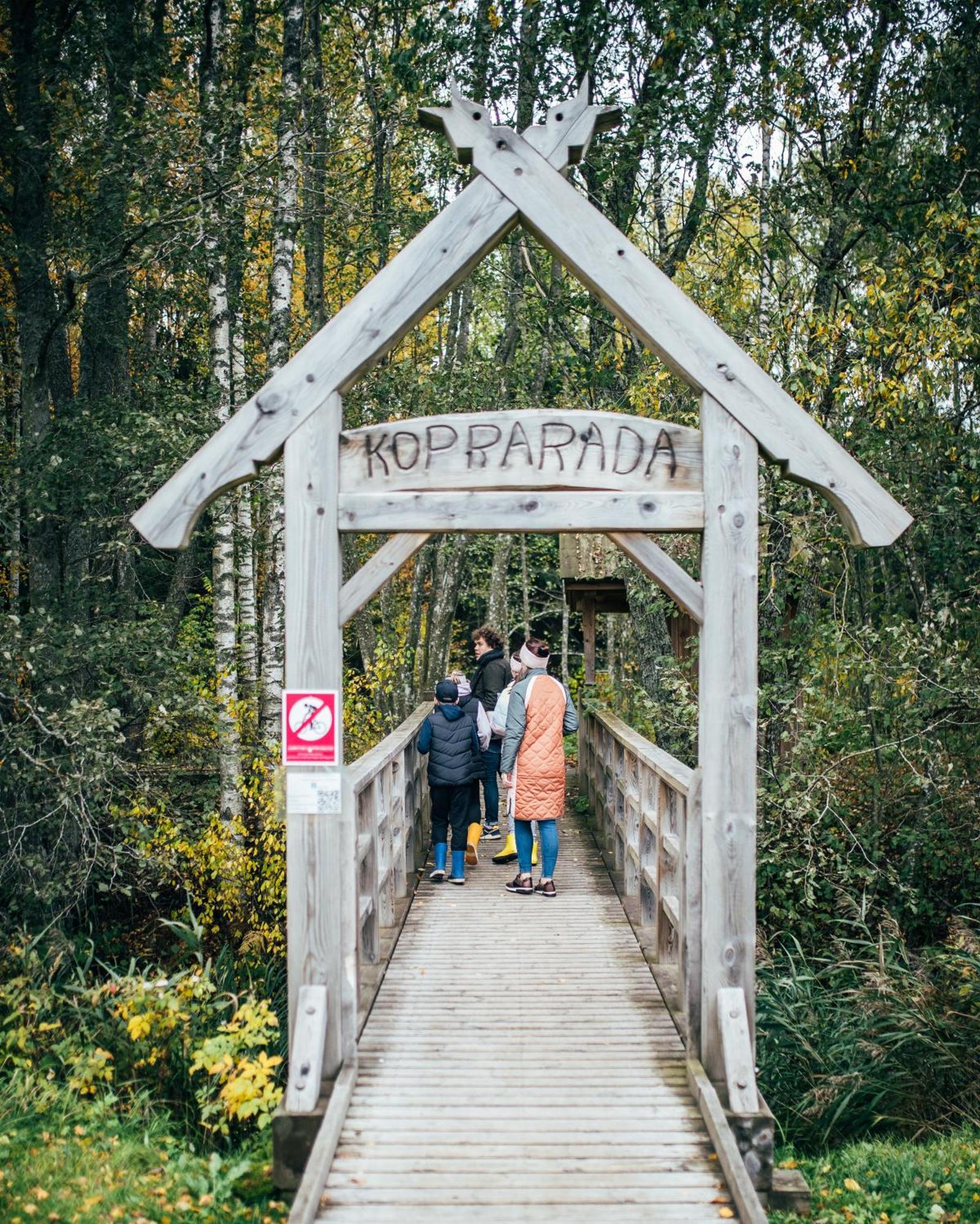 Loma-asunnot Pauna Puhkemaja