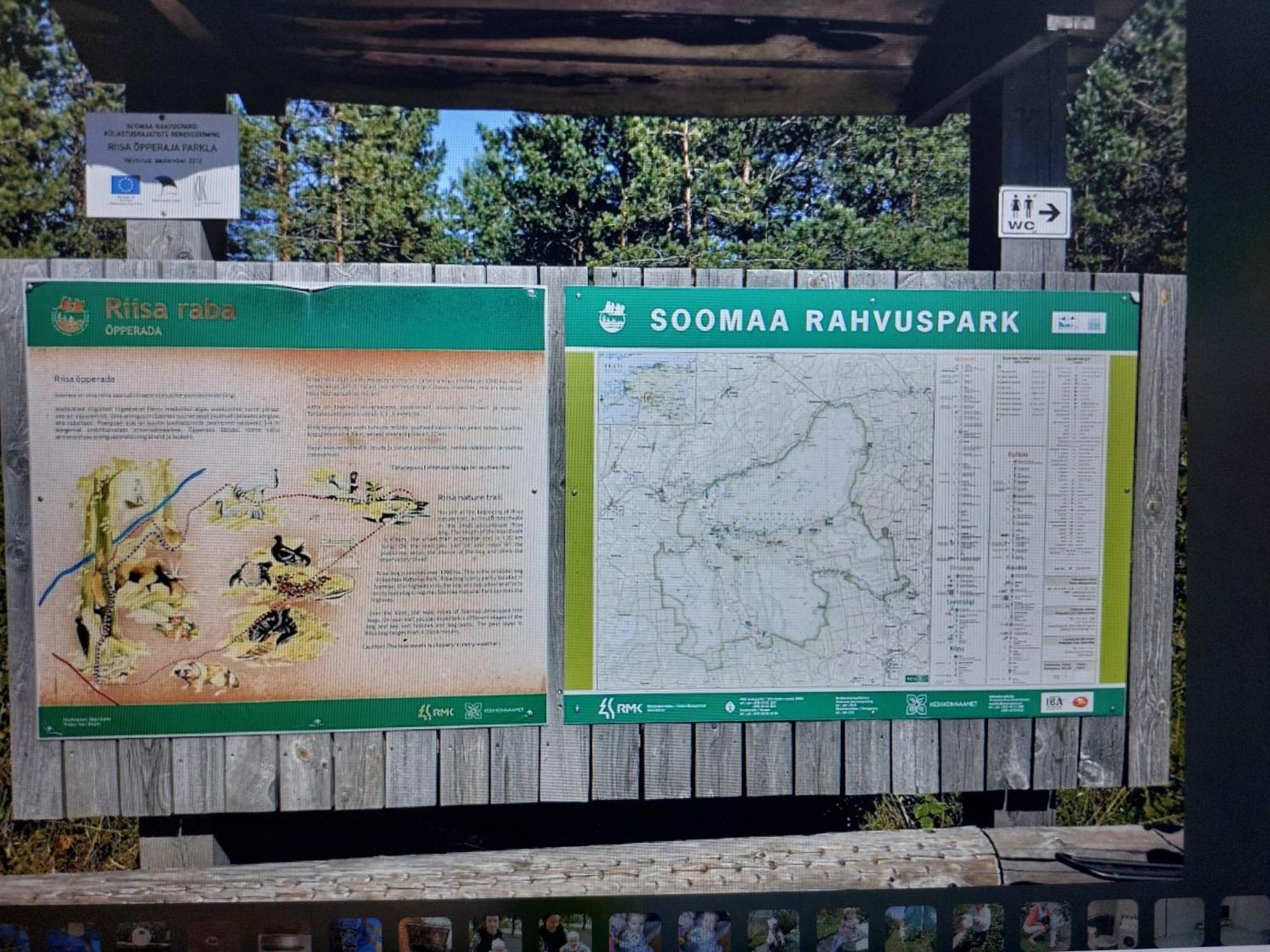 Pauna Puhkemaja * Tori